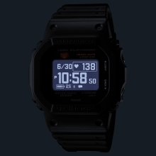 DW-H5600-1ER