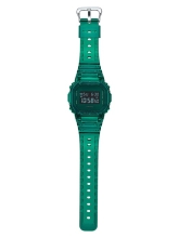 DW-5600SB-3ER