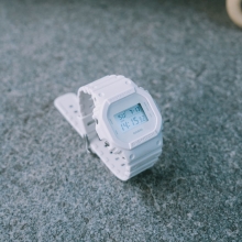 DW-5600WW-7ER